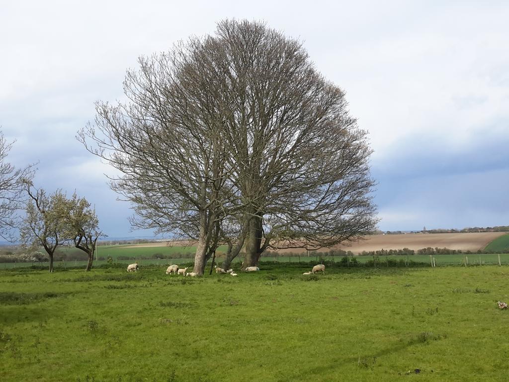The Old Rectory *